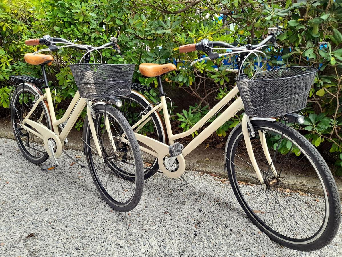 Apt Luminoso, Spazioso Con Aria Condiz E Bici فياريجيو المظهر الخارجي الصورة